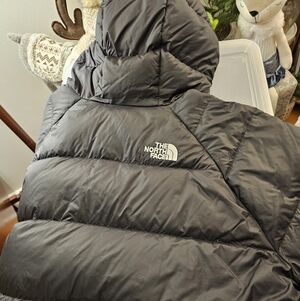 The North Face Women's Hydrenalite Hooded Down Jacket With Hood